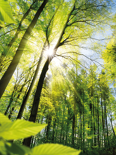 Ici j'affiche le titre de l'article de blog